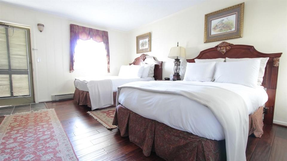 Room image 4